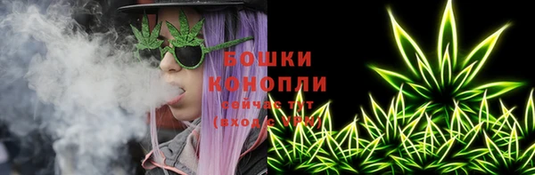 PSILOCYBIN Балахна