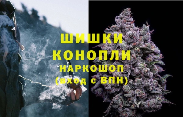 PSILOCYBIN Балахна