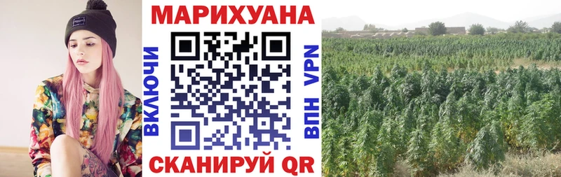 Конопля SATIVA & INDICA  наркотики  Буйнакск 
